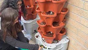 Students next to a hydroponic garden